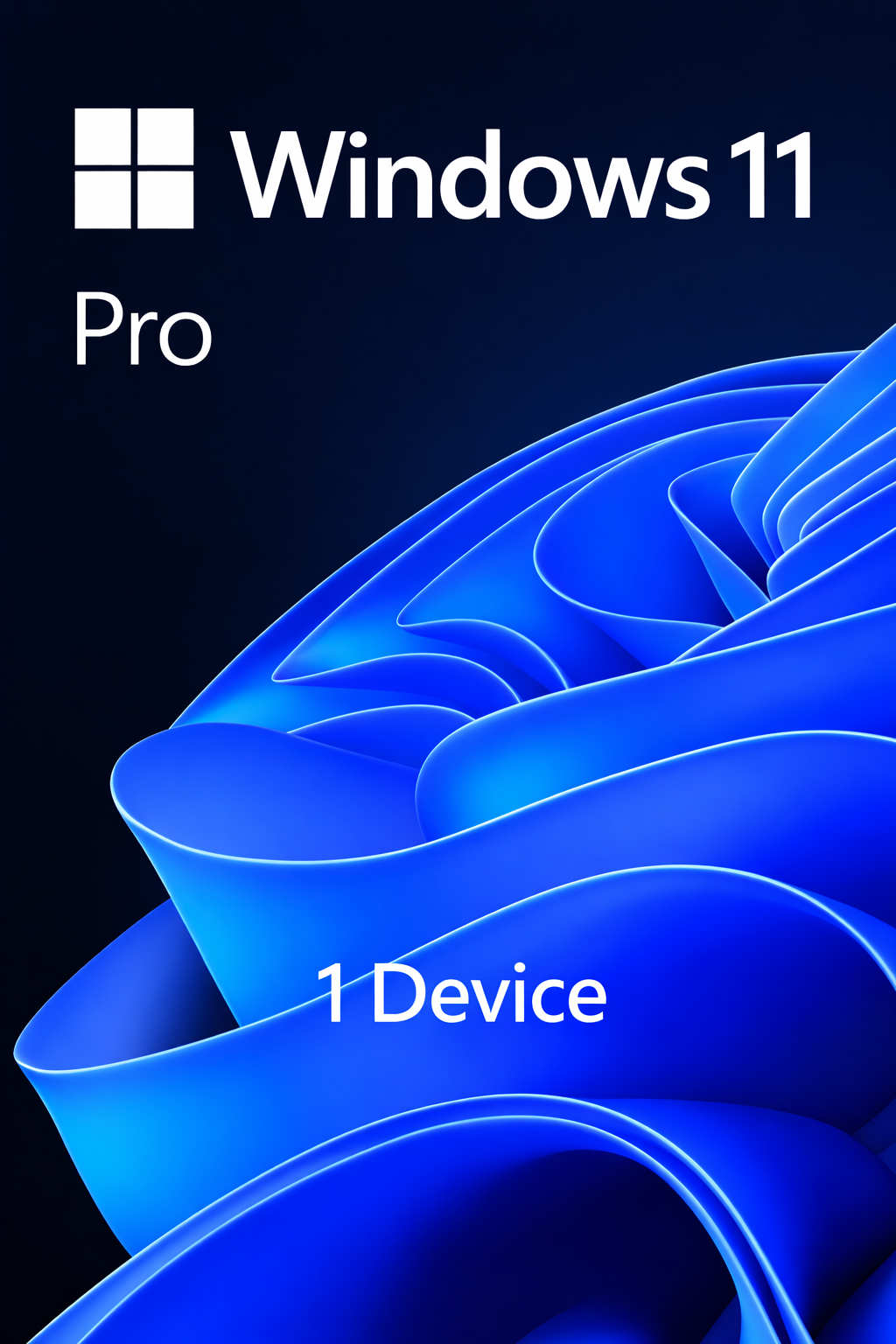 Microsoft Windows Pro [1 Device]